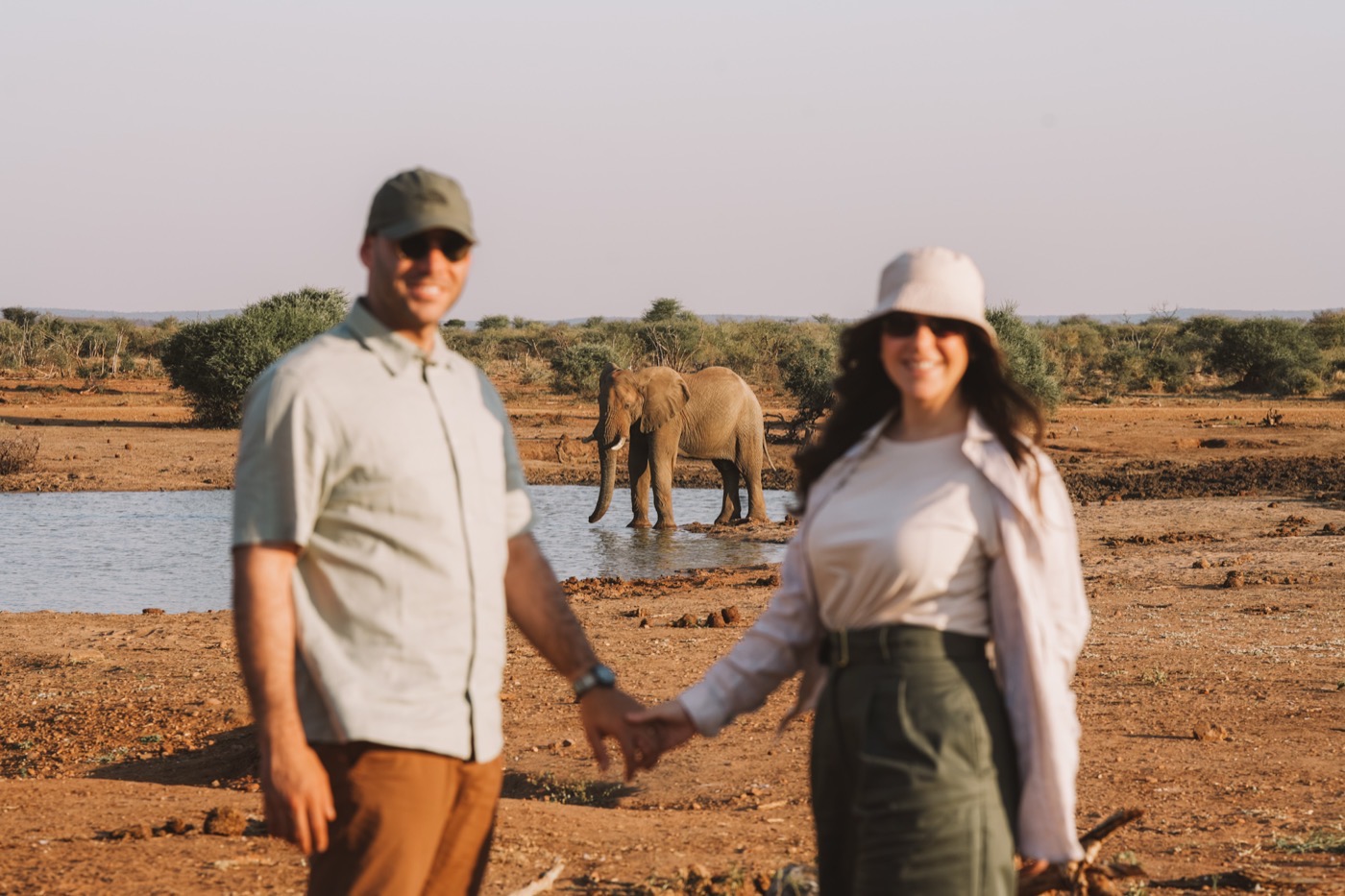 Safari Everseen